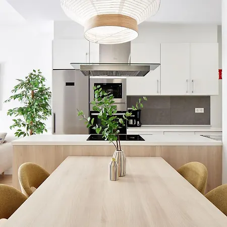 The Collection - Izpizua 圣塞瓦斯蒂安